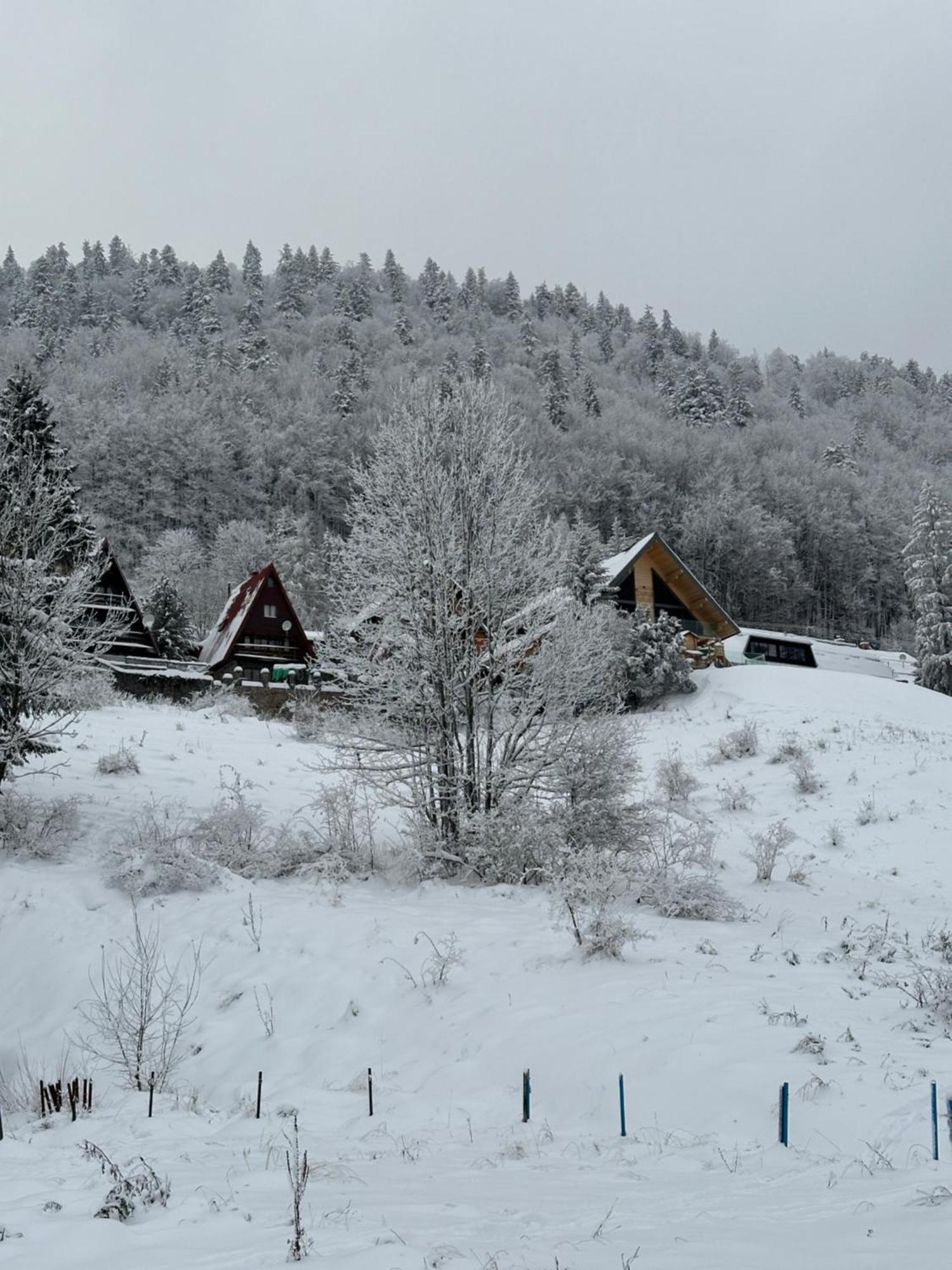 Apartman Forest View Donovaly Eksteriør bilde